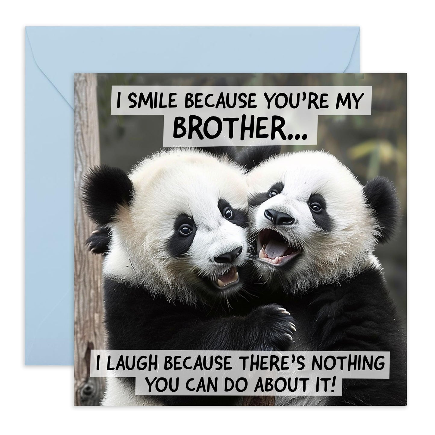 Adorable Animal Greeting Card - 'Brother Panda' - Cute Message for Bruv, Big Bro, Siblings, Kin, Family - Hugging Pandas - Comes with Fun Stickers