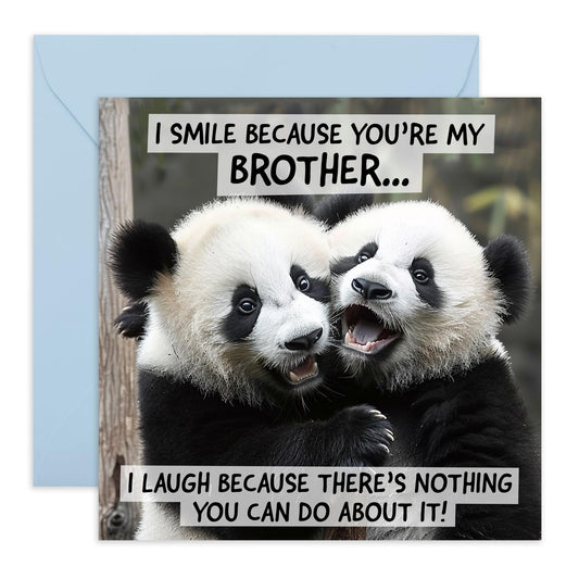 Adorable Animal Greeting Card - 'Brother Panda' - Cute Message for Bruv, Big Bro, Siblings, Kin, Family - Hugging Pandas - Comes with Fun Stickers
