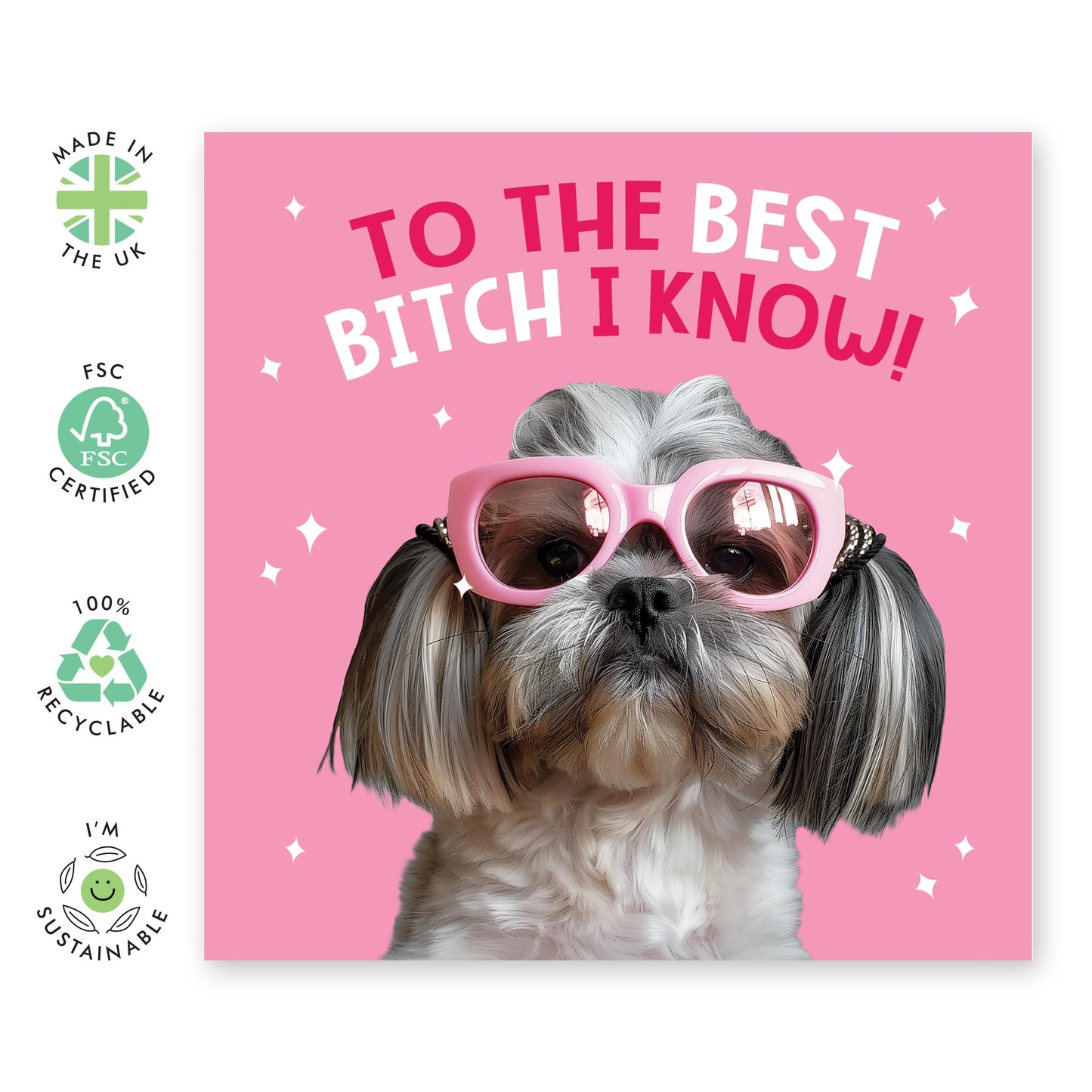 Dog Birthday Card - Best B*tch I Know - Funny Best Friend Birthday Card - Greeting Cards For Mum Sister Wife Colleague - Bestie Bff - Comes With Stickers - By Central 23