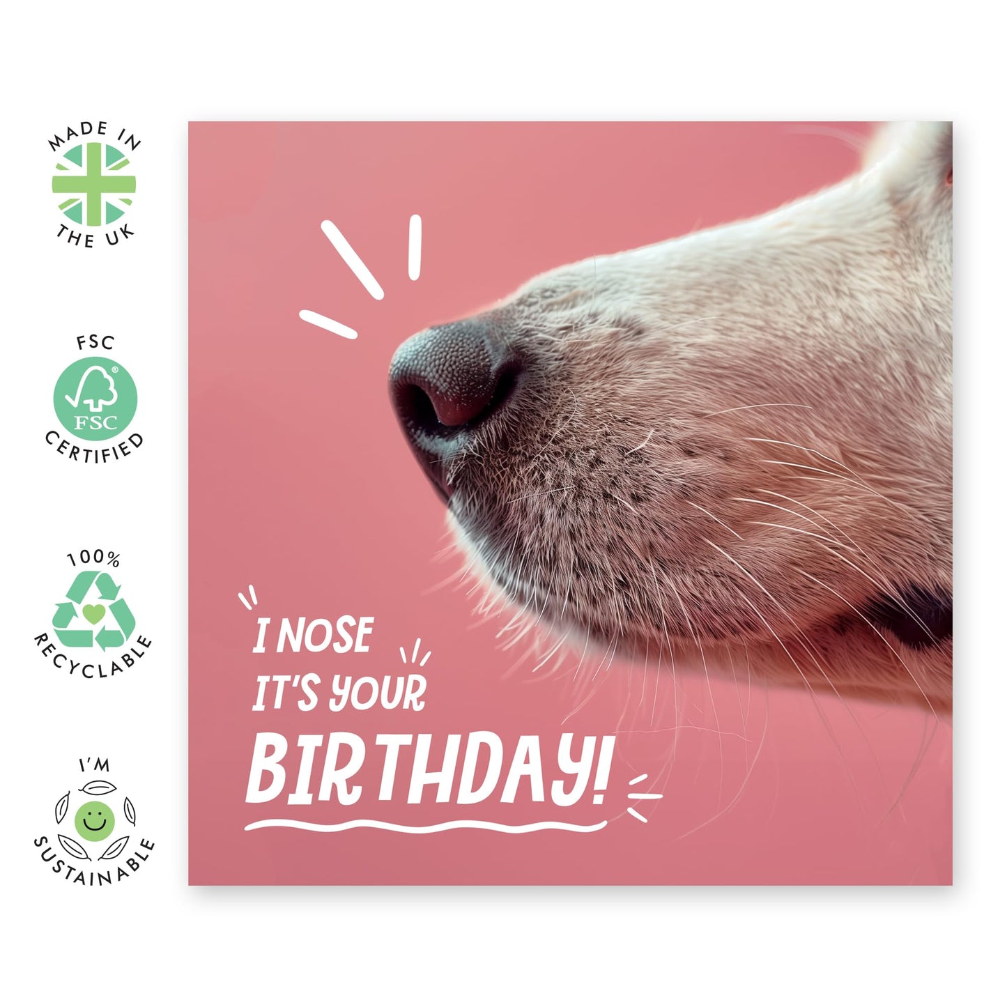 Adorable Dog Birthday Card - 'I Nose It's Your Birthday' - Gift to BFFs, Best Friend, Mate, Buddy, Brother, Sister, Coworker, Mom, Dad - Smelling Your Bday - Comes with Fun Stickers