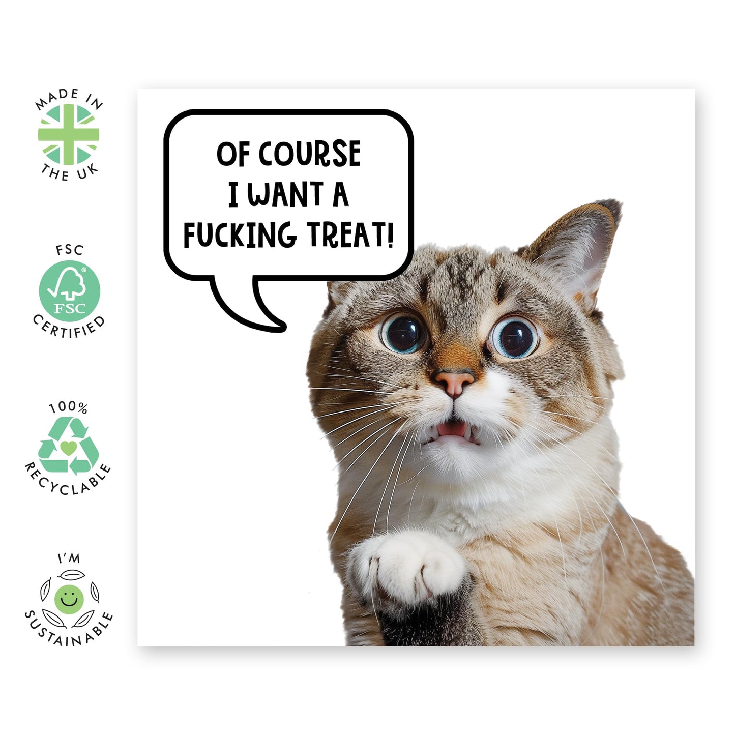 Greeting Card - 'OF COURSE I WANT A TREAT CAT' - Perfect for Any Occasion with Fun Feline Design - Ideal for Cat Lovers and Adding a Touch of Humor to Celebrations - Comes With Stickers By Central 23