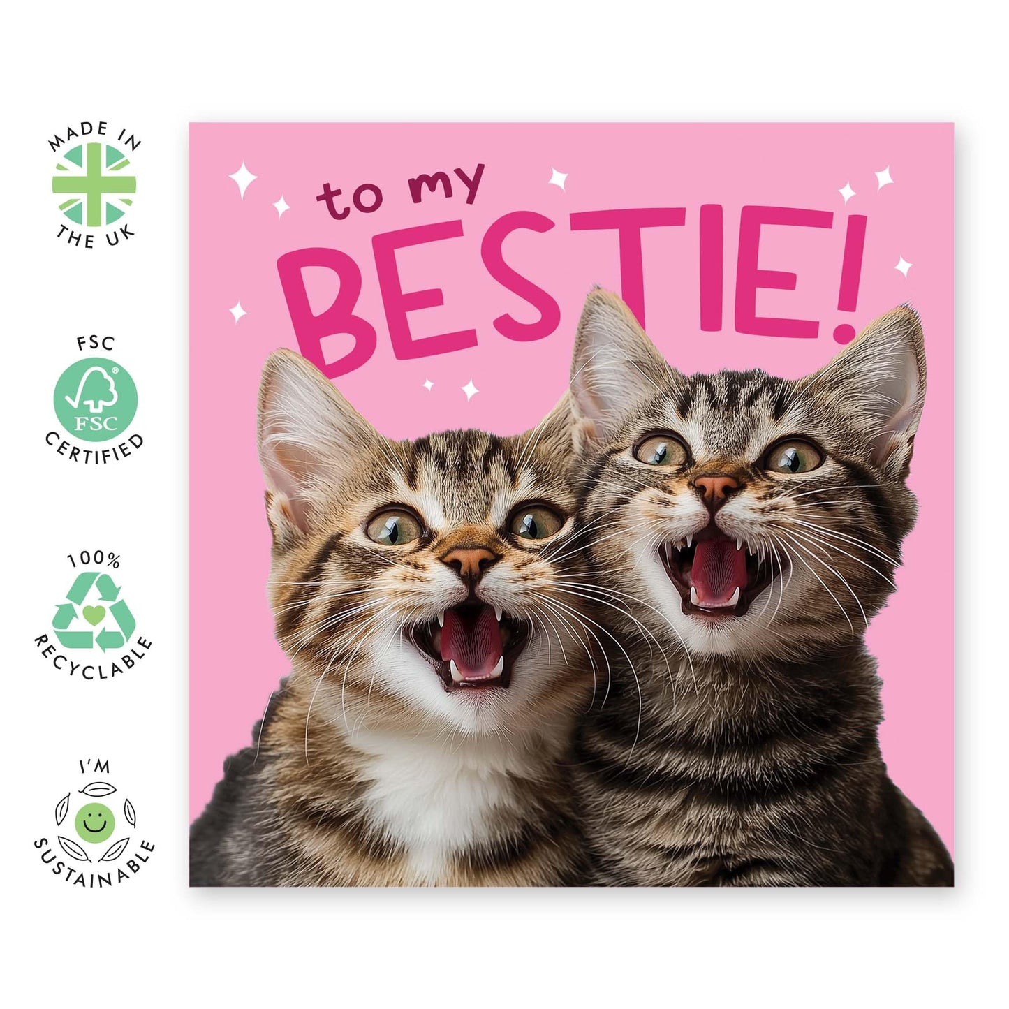 Birthday Card - 'BESTIE CATS' - Perfect for Celebrating Your Feline-Focused Friendship - Ideal for Friends, Cat Lovers, or Anyone Who Cherishes Their Purr-fect Bond - Comes With Stickers By Central 23