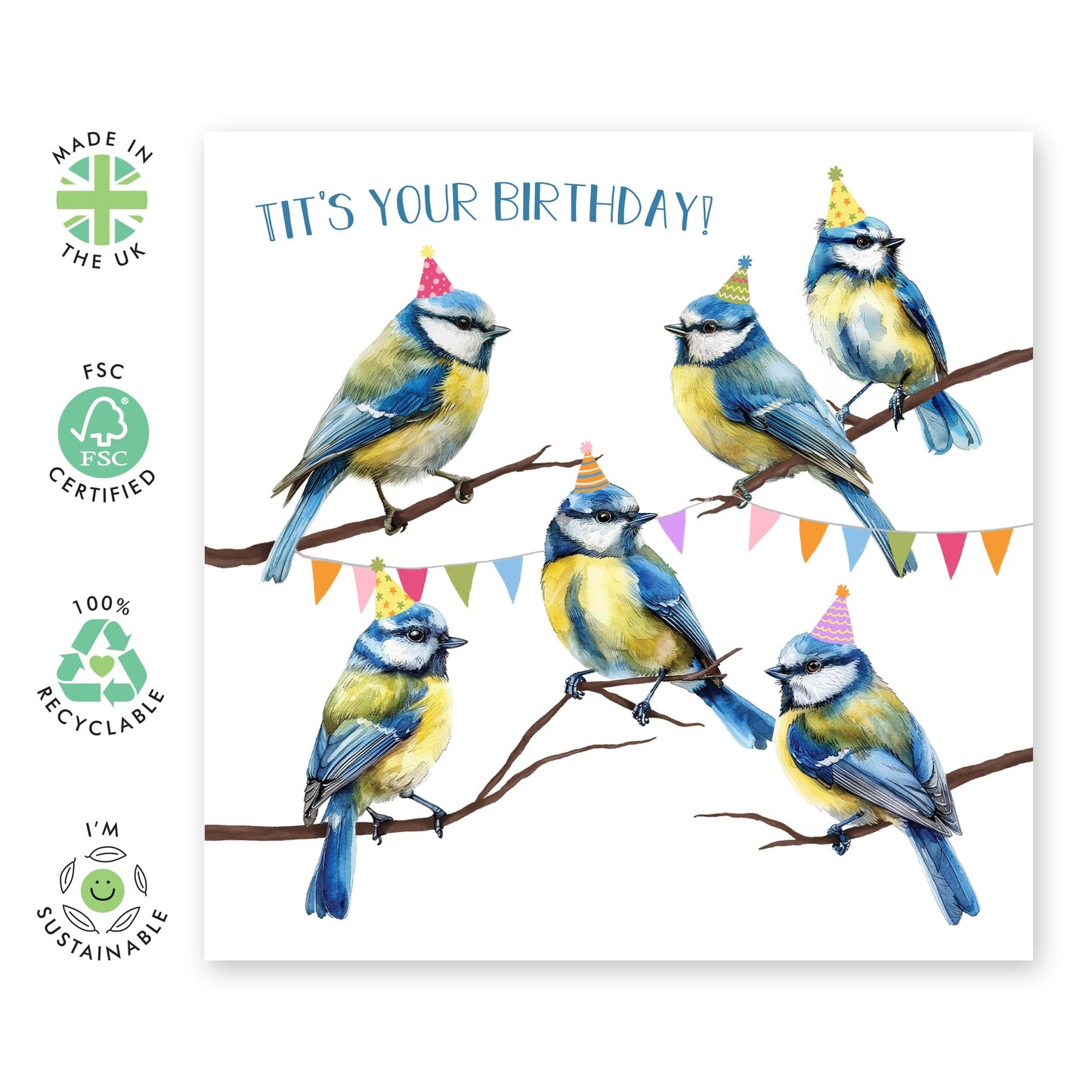Fun Birthday Cards Her - Tits Your Birthday Blue Tits - Sister Birthday Card - Best Friend Birthday Card - Cheeky Greeting Cards For Her Mum Aunt Sister - Comes With Stickers By Central 23