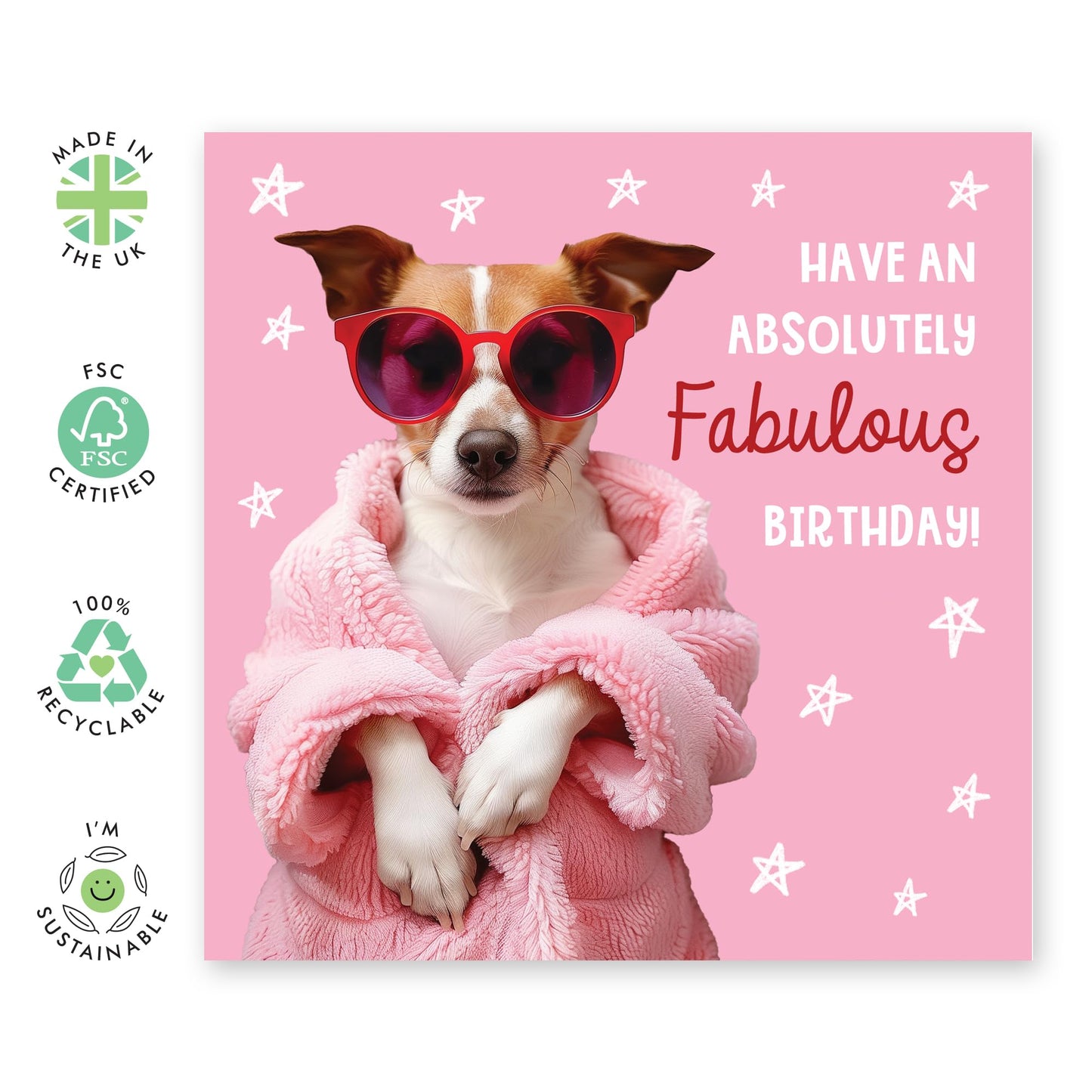 Birthday Greeting Card - 'FABULOUS BIRTHDAY DOG' - Perfect for Celebrating with a Fun Canine Twist & Fabulous Design - Ideal for Dog Lovers & Adding a Touch of Joy - Comes With Stickers By Central 23