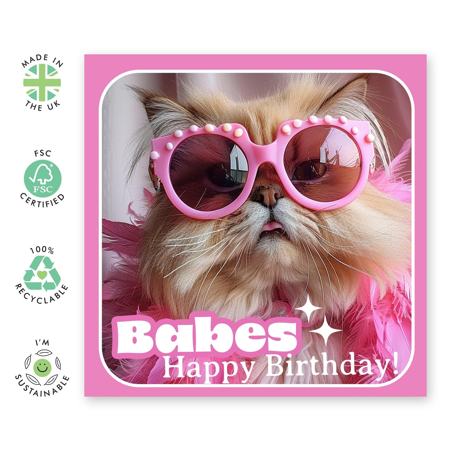Fabulous Happy Birthday Card - 'Babes' - Gifts for BFFs, Best Friends, Girls, Gals, Sisters, Siblings, Room mates - Fab Cat - Comes with Fun Stickers