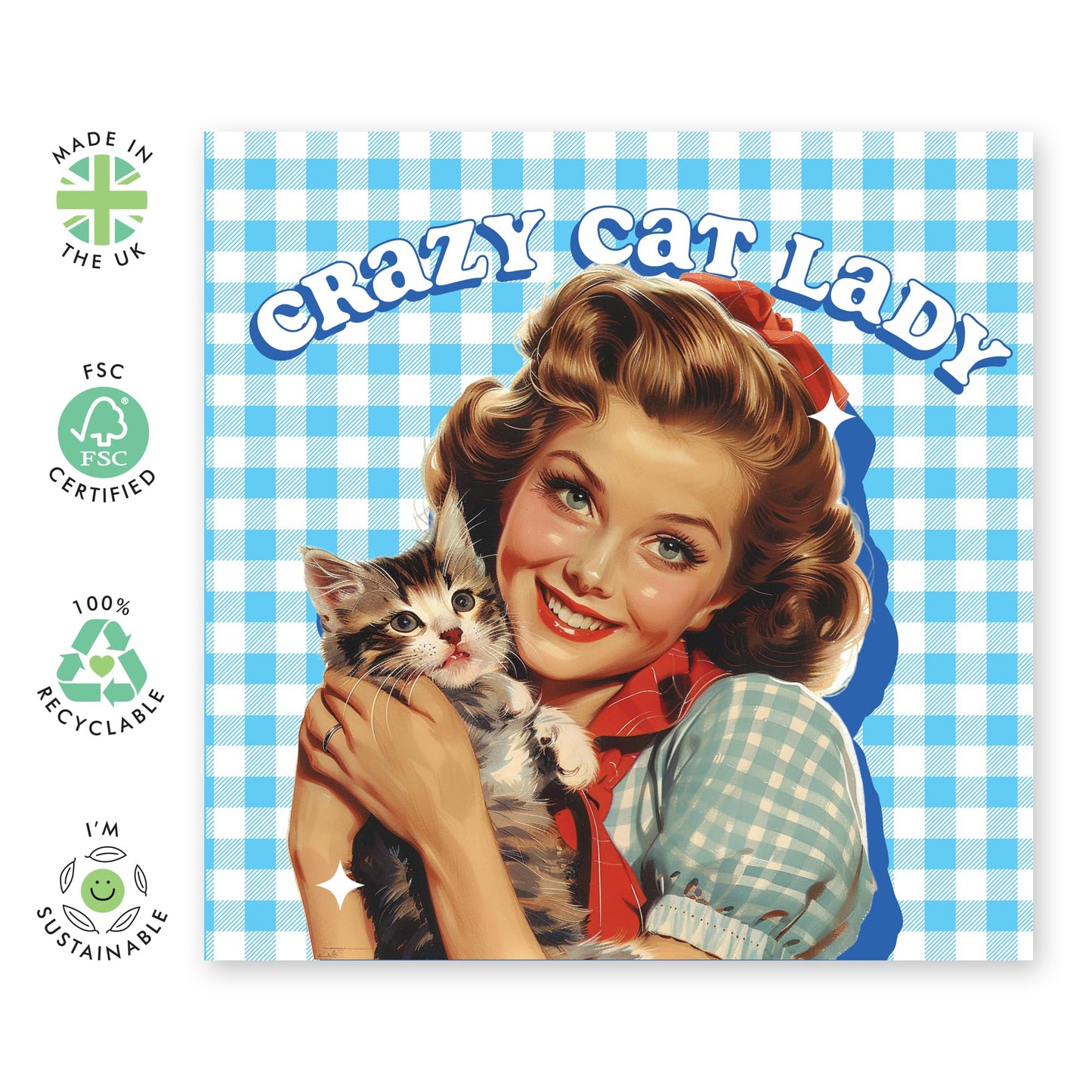 Cat Lover's Greeting Card - 'Crazy Cat Lady' - Perfect for Fur Mums, Pet Owners, Wife, Girlfriend - Cat loving woman - Comes with Fun Stickers