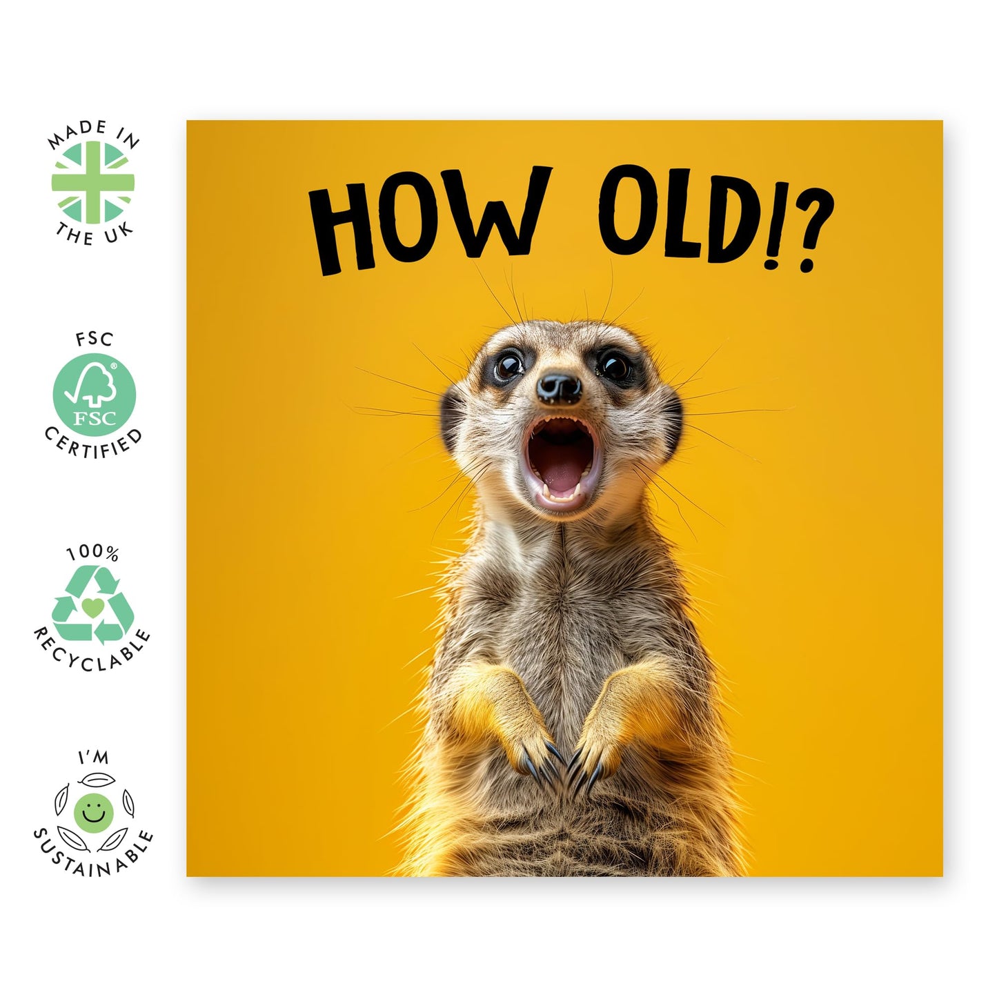 Birthday Greeting Card - 'HOW OLD? MEERKAT' - Ideal for Celebrating Milestones with a Playful Twist - Perfect for Animal Lovers & Adding Fun to Any Age Celebration - Comes With Stickers By Central 23