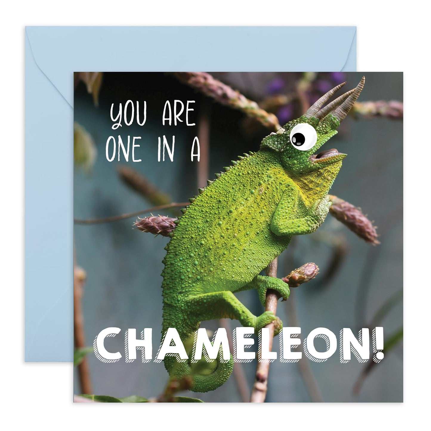 One in a Chameleon Greeting Card for Him, Her, Boyfriend, Girlfriend, Friends, Partner - Funny and Unique Design for Birthdays, Anniversaries, or Just Because - Blank Inside