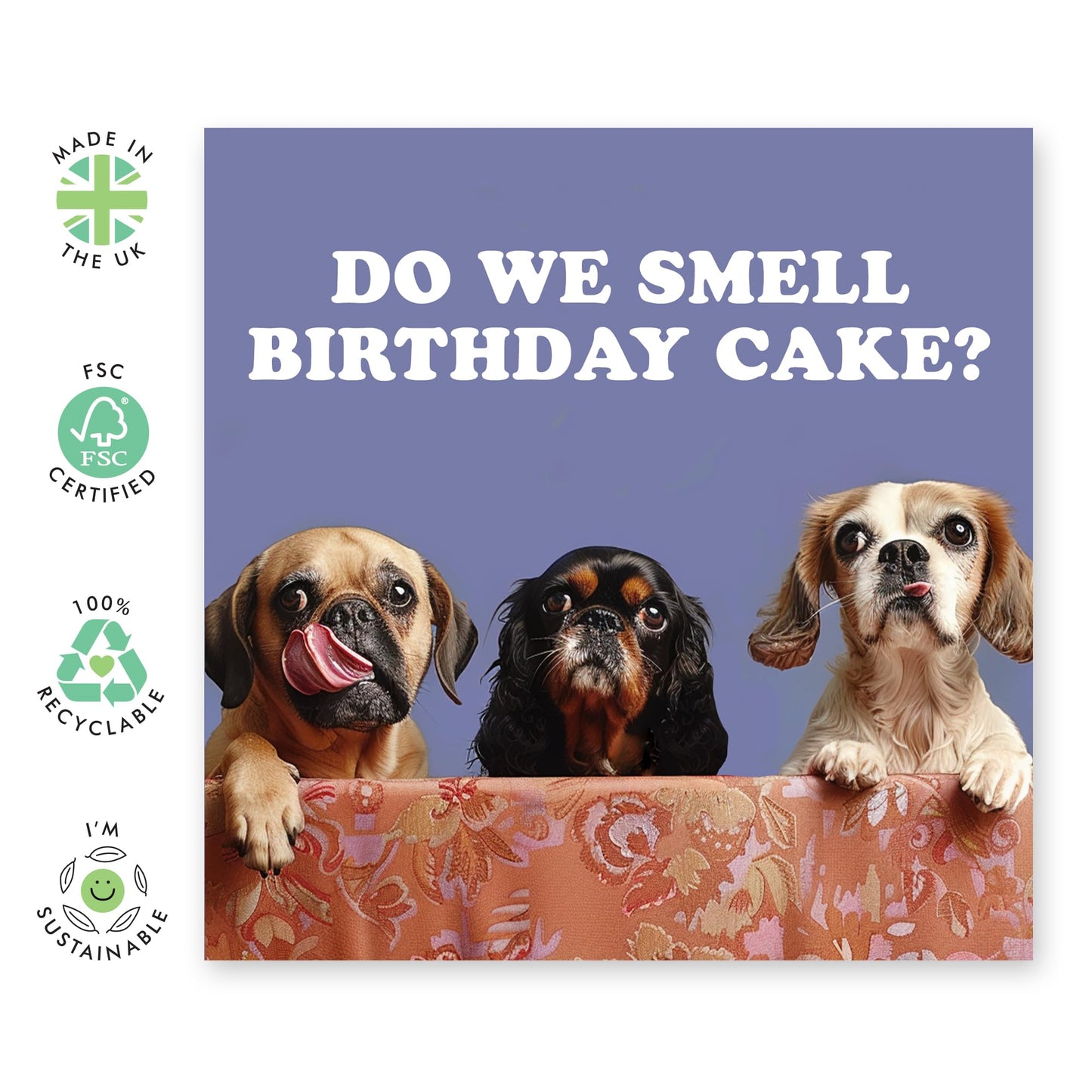 Hilarious Dogs Birthday Card - 'Birthday Cake Dogs' - Jokes for BFFs, Best Friends, Buddies, Mates, Bruv, Bro, Sis, Family, Colleagues, Coworkers - Dog Team - Comes with Fun Stickers