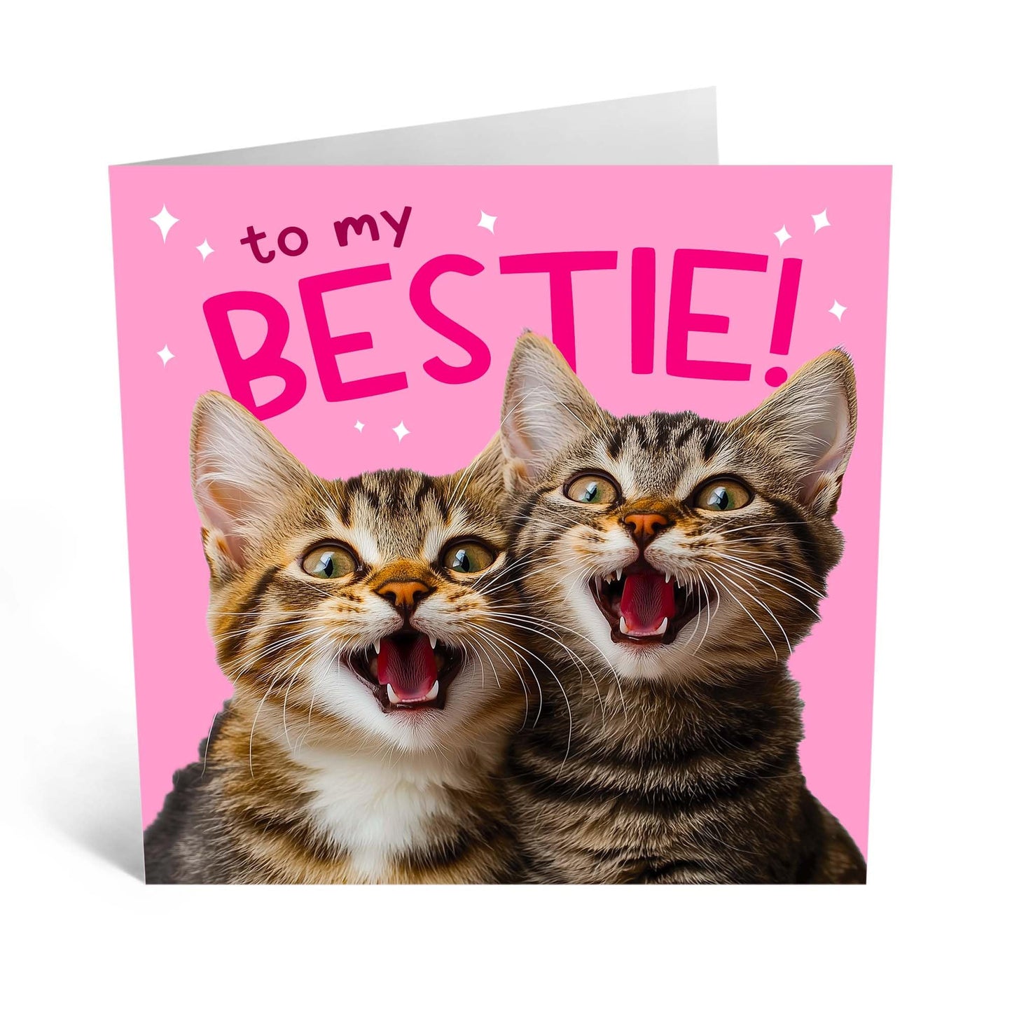 Birthday Card - 'BESTIE CATS' - Perfect for Celebrating Your Feline-Focused Friendship - Ideal for Friends, Cat Lovers, or Anyone Who Cherishes Their Purr-fect Bond - Comes With Stickers By Central 23