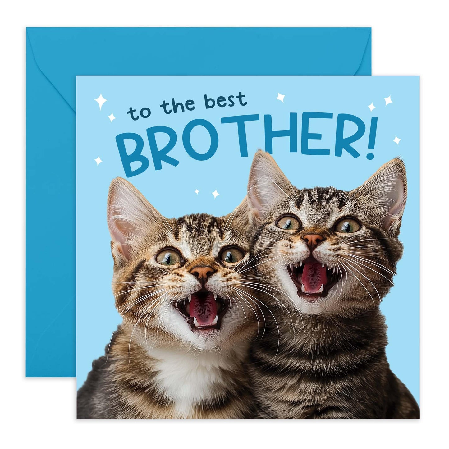 Birthday Card - 'BEST BROTHER CATS' - Perfect for Celebrating Your Brother Who Loves Cats - Ideal for Birthdays, Special Occasions, or Just to Show You Care - Comes With Stickers By Central 23