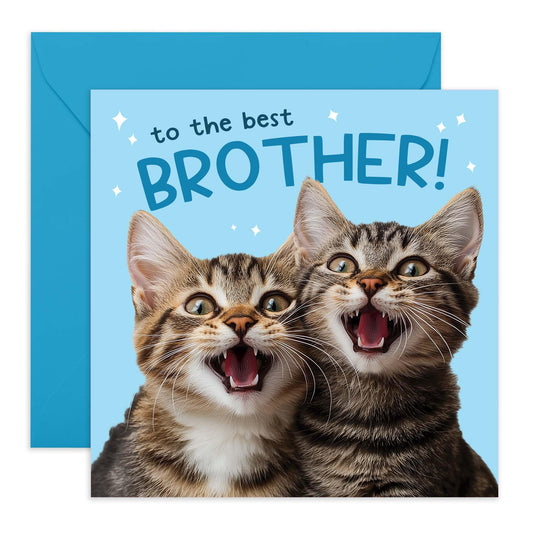 Birthday Card - 'BEST BROTHER CATS' - Perfect for Celebrating Your Brother Who Loves Cats - Ideal for Birthdays, Special Occasions, or Just to Show You Care - Comes With Stickers By Central 23