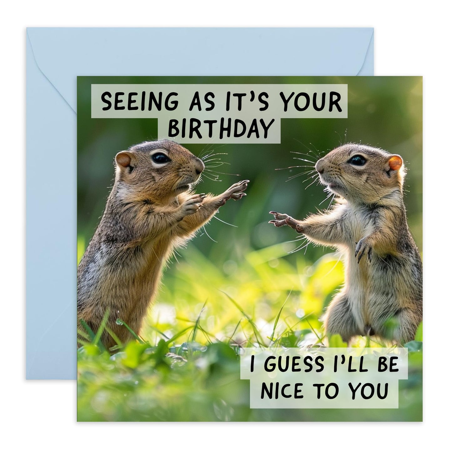 Hilarious Happy Birthday Card - 'Nice To You' - Jokes for Big Sister, Brother, Siblings, Children, Girlfriend, Boyfriend, BFFs- Nice Squirrels - Comes with Fun Stickers