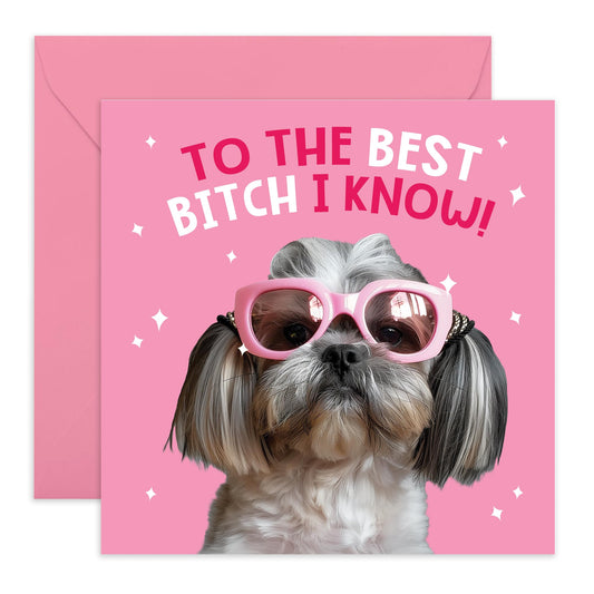 Dog Birthday Card - Best B*tch I Know - Funny Best Friend Birthday Card - Greeting Cards For Mum Sister Wife Colleague - Bestie Bff - Comes With Stickers - By Central 23