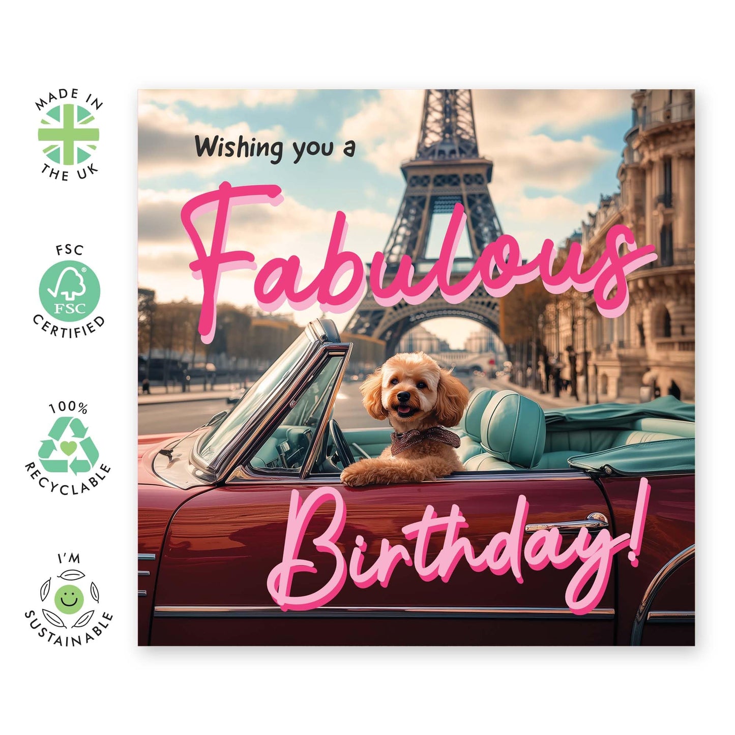 Dog Birthday Card For Women - Fabulous Birthday Dog - Happy Birthday Card For Mum From The Dog - Friend Birthday Card Female - Birthday Card From Dog - Comes With Stickers - By Central 23