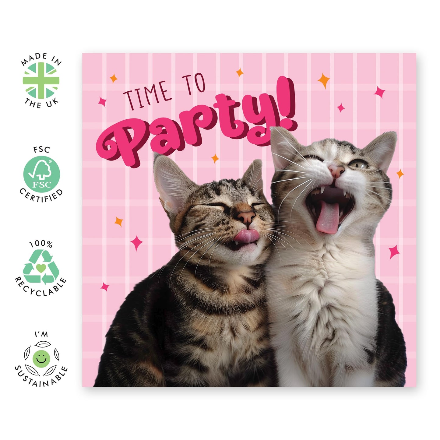 Birthday Greeting Card - 'TIME TO PARTY CATS' - Perfect for Celebrating with Fun and Feline Flair - Ideal for Cat Lovers Ready to Enjoy a Purr-fectly Good Time - Comes With Stickers By Central 23