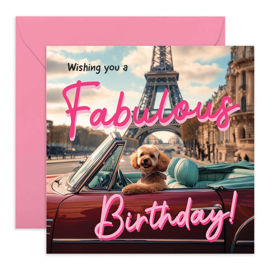 Dog Birthday Card For Women - Fabulous Birthday Dog - Happy Birthday Card For Mum From The Dog - Friend Birthday Card Female - Birthday Card From Dog - Comes With Stickers - By Central 23