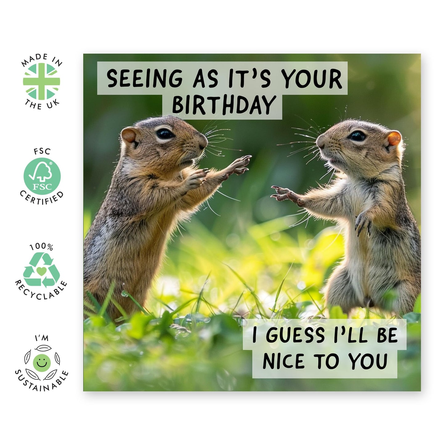 Hilarious Happy Birthday Card - 'Nice To You' - Jokes for Big Sister, Brother, Siblings, Children, Girlfriend, Boyfriend, BFFs- Nice Squirrels - Comes with Fun Stickers