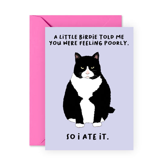 Funny Get Well Soon Card - Little Birdie Feeling Poorly - For Men Women Him Her