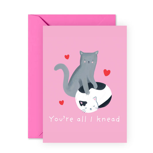 Anniversary Card For Him - You're All I Knead - Cats Pun - Cute Wedding Anniversary Card For Husband Wife - Valentines Day Card - Gift For Boyfriend Girlfriend - Comes With Stickers