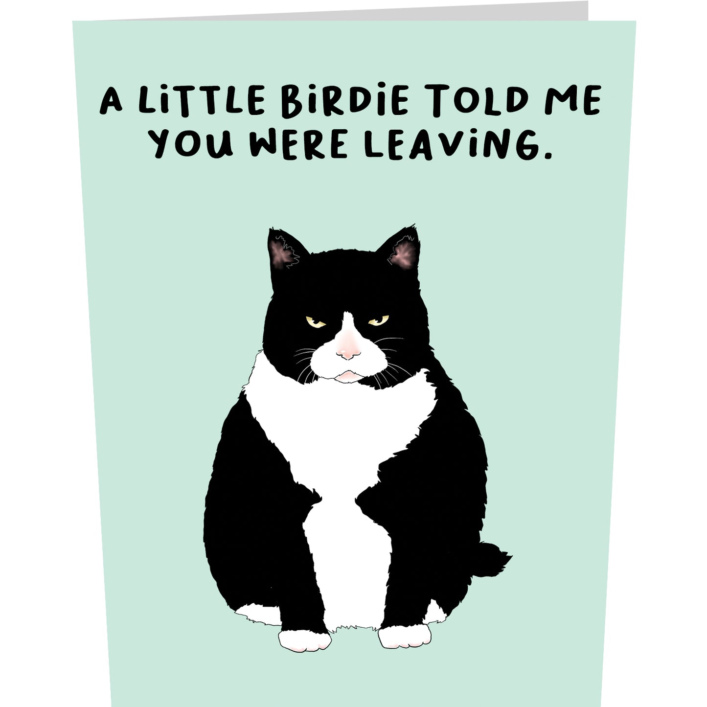 Funny Pop Up Card - Leaving Cat - For Men Women Him Her