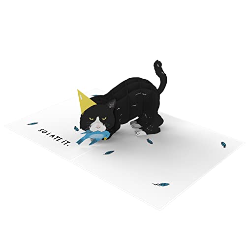 Cat Pop Up Birthday Card - Little Birdie - For Men Women Boys Girls Him Her