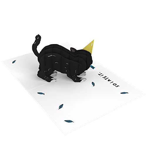 Cat Pop Up Birthday Card - Little Birdie - For Men Women Boys Girls Him Her