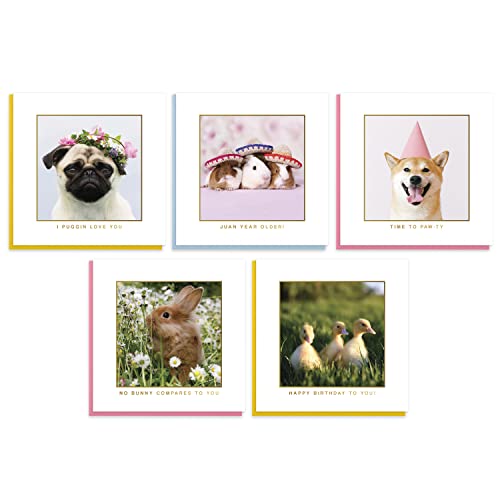 Cute Animal Birthday Cards Multipack - 20 Pack Assortment - For Men Women Boys Girls Him Her