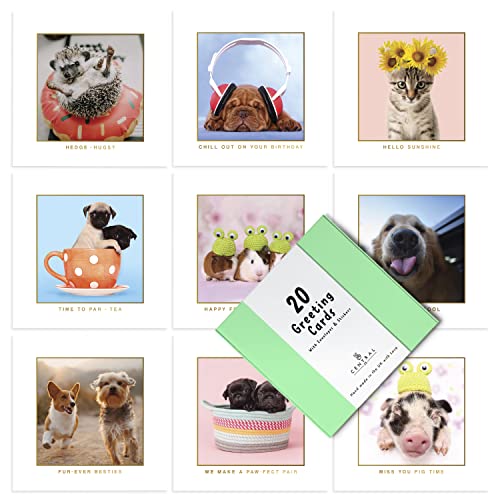 Cute Animal Birthday Cards Multipack - 20 Pack Assortment - For Men Women Boys Girls Him Her