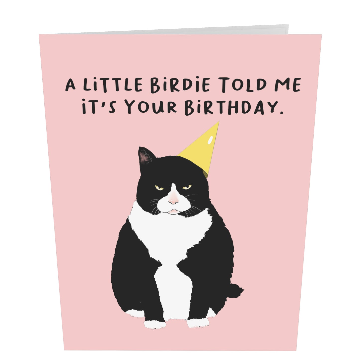 Cat Pop Up Birthday Card - Little Birdie - For Men Women Boys Girls Him Her